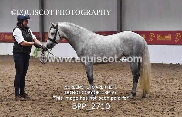 BPP_2710 - LOOSE JUMPING / SPSS