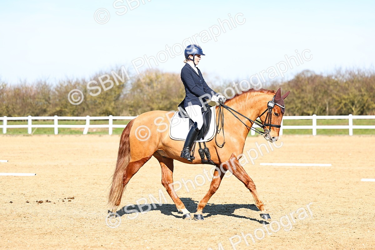 026A8540 - Class 2-6-5-4 - Paso Doble-Sevilla-Golega-Novato