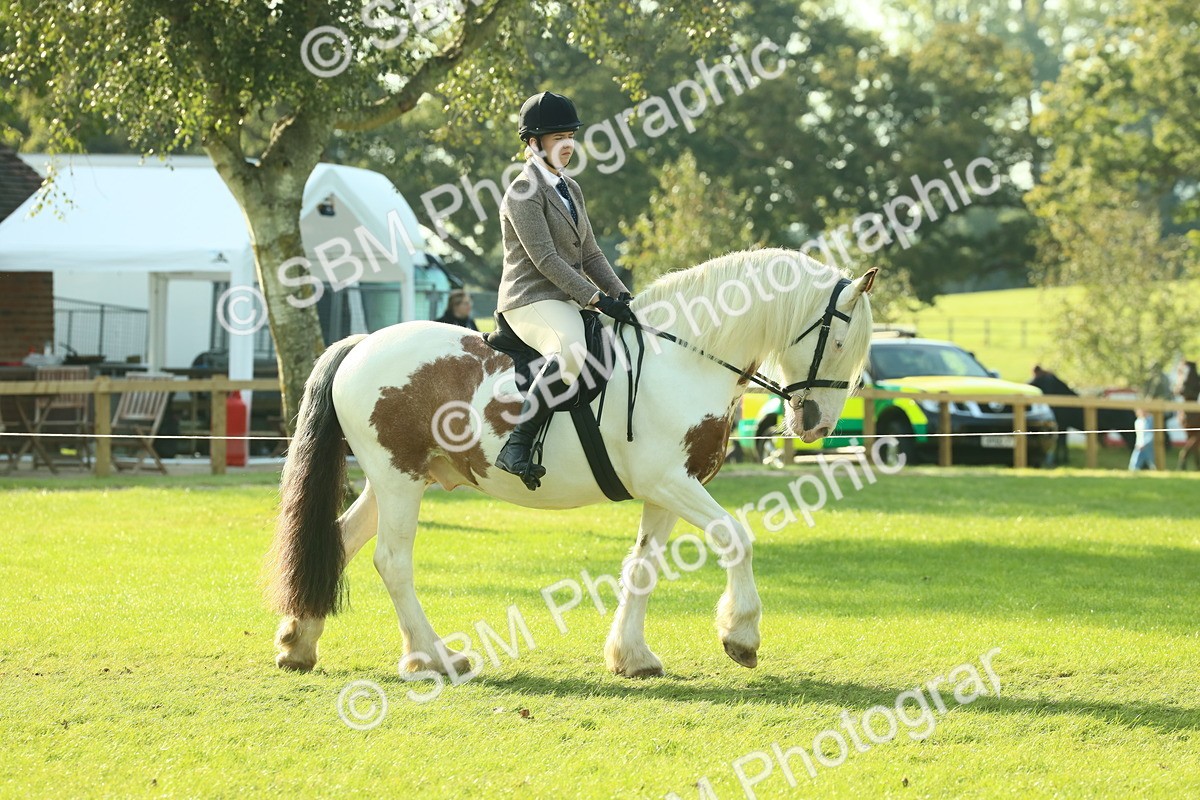 SBM_59310 - S38 - Starters Ridden Showing