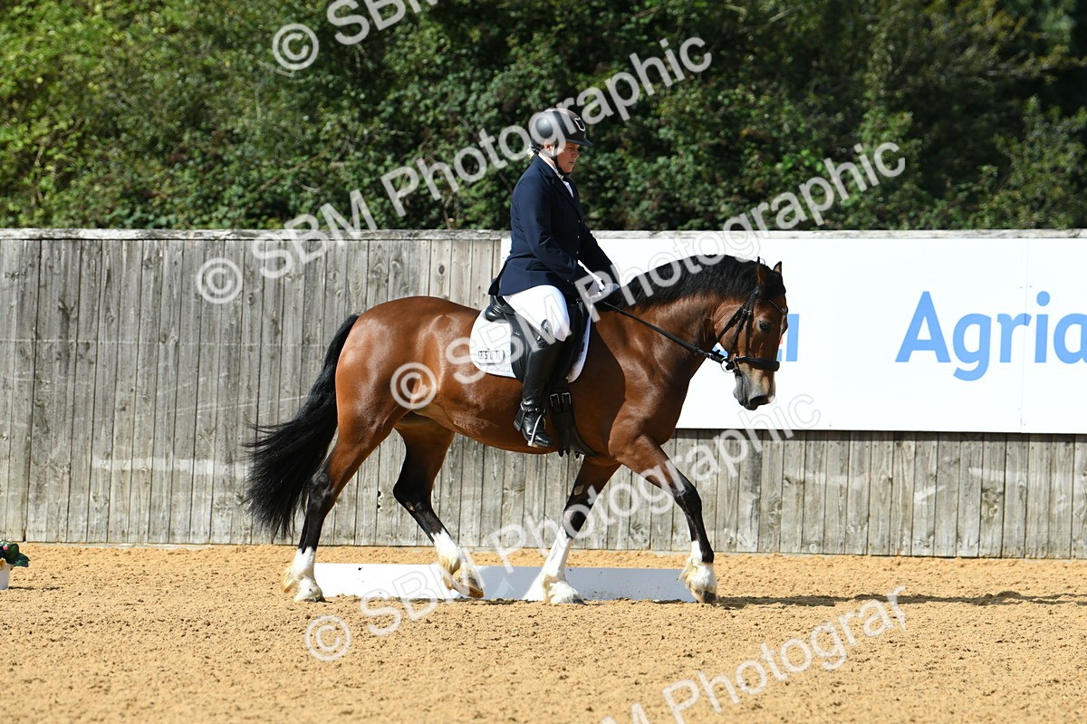SBM_03191 - D7 Small Tour Championship Prelim 1
