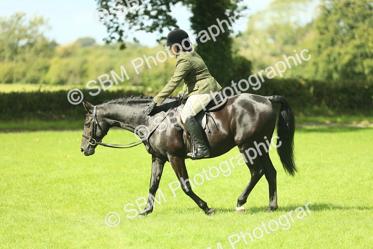SBM_42084 - S29 - Novice & Newcomers Working Hunter Pony