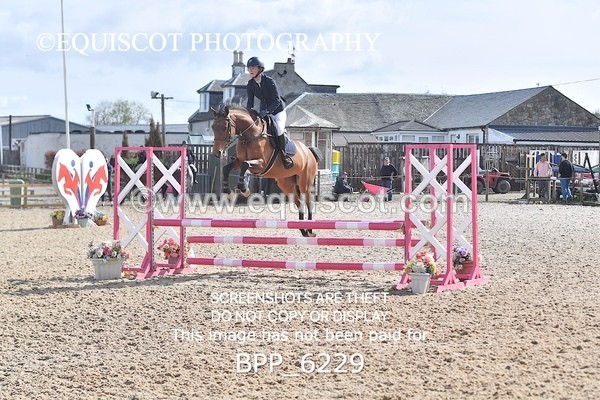 BPP_6229 - CLASS 32 MON Club/ Unaffiliated 80cms Open