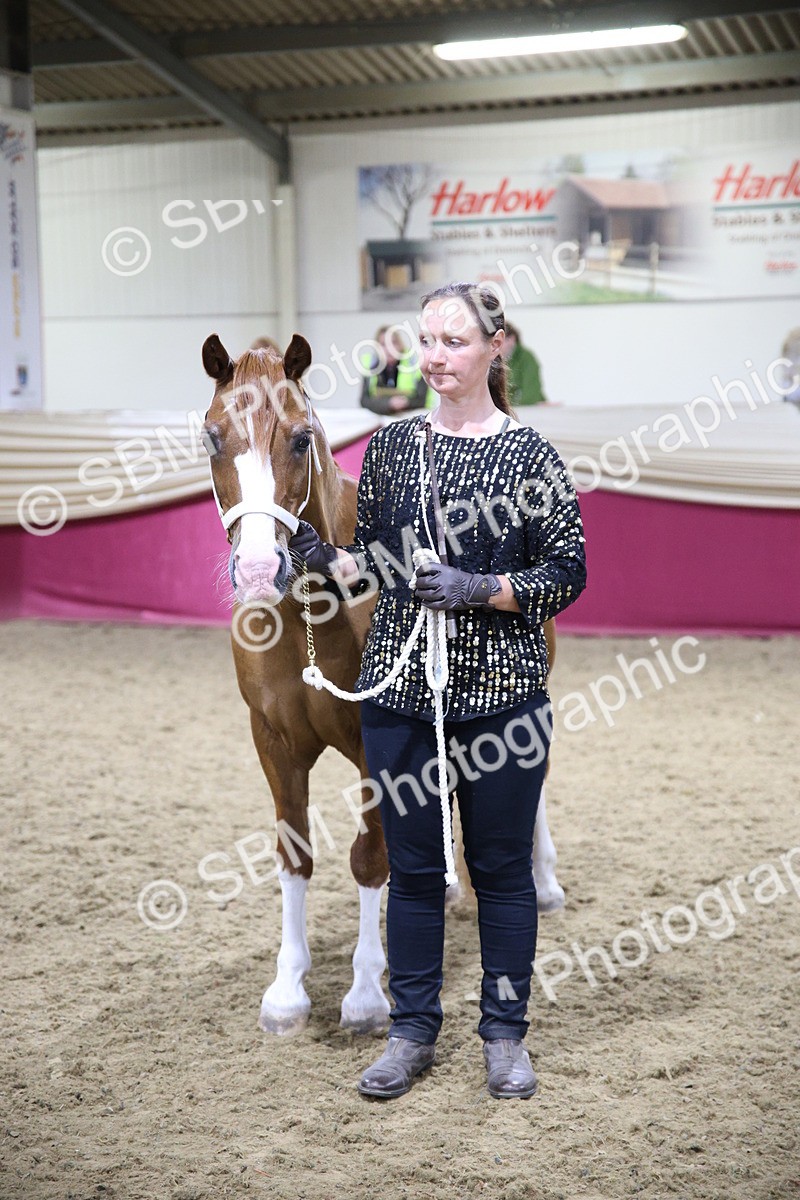 5K7A1653 - Class T Champion of Champions