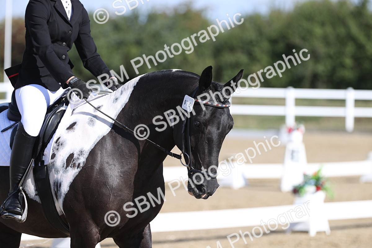 SBM_001153 - Class 2 - Intro 4 Champs - 9.44-10.38