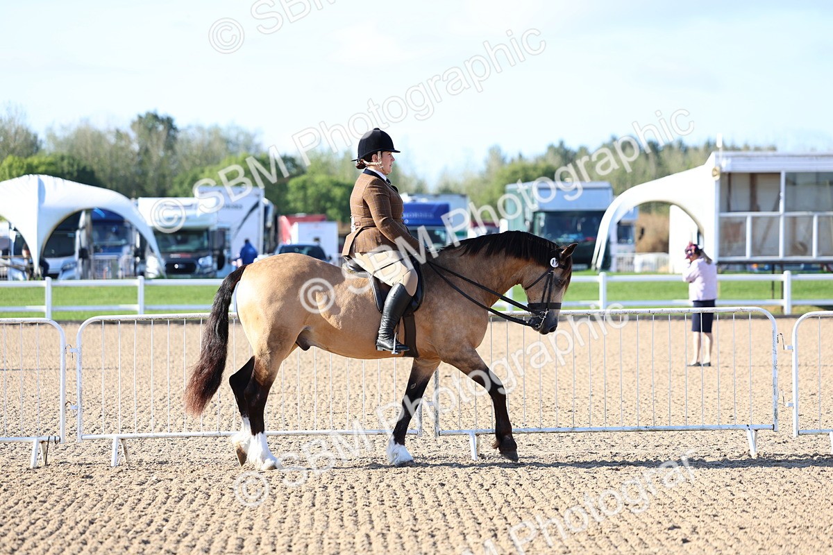 SBM_08713 - Class 302 - Ridden M&M - Large Breeds