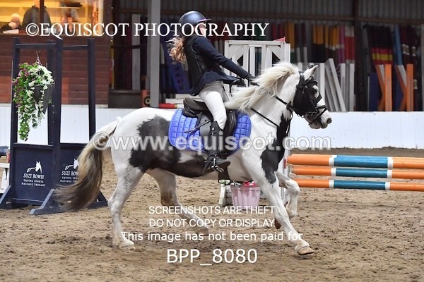 BPP_8080 - CLASS 1  Club/ Unaffiliated 60cms Open