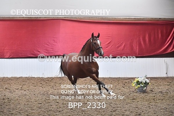 BPP_2330 - AFTERNOON 12.30 - 3.30PM