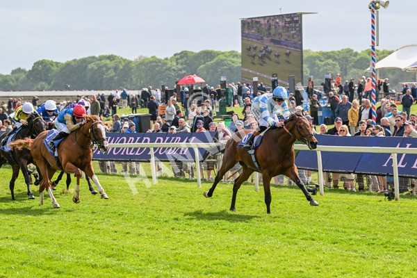 150525-Pride Of Arras-4691 - Race 4 3.45pm Al Basti Equiworld Dubai Dante Stakes