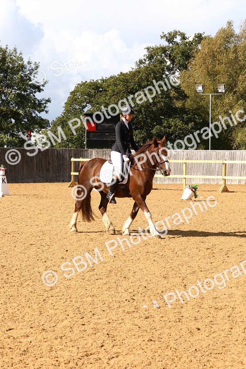 SBM_24395 - D5 - Small Tour Championshop Intro 2