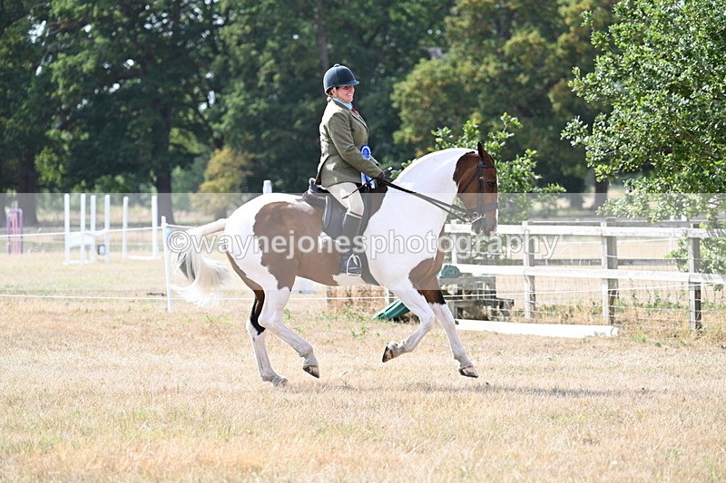 WJ7_7492 - Class 14 Ridden Coloured