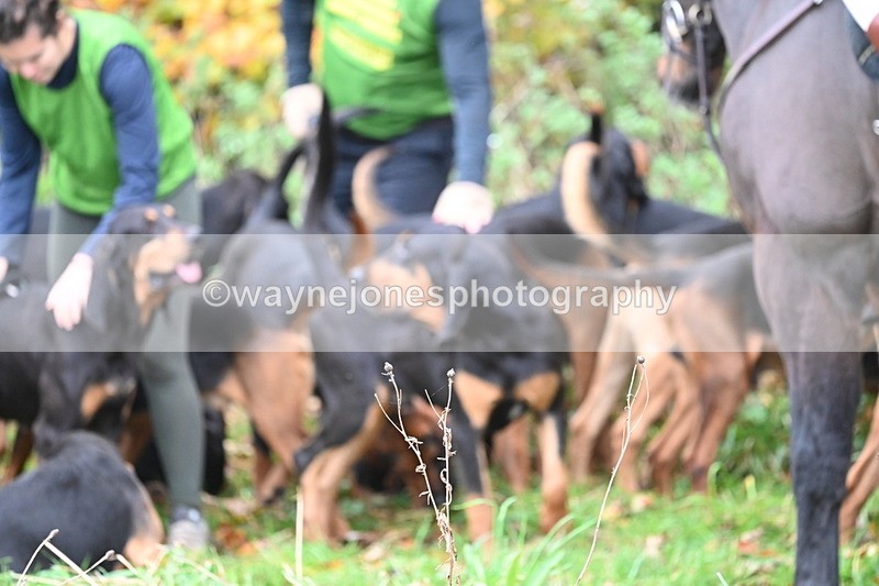WJ6_8584 - Meet