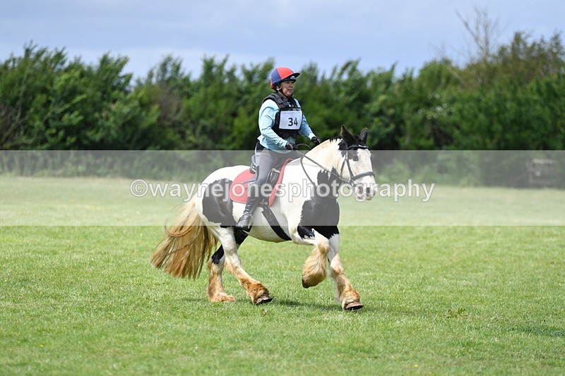 WJ5_3338 - Class 4 60cm