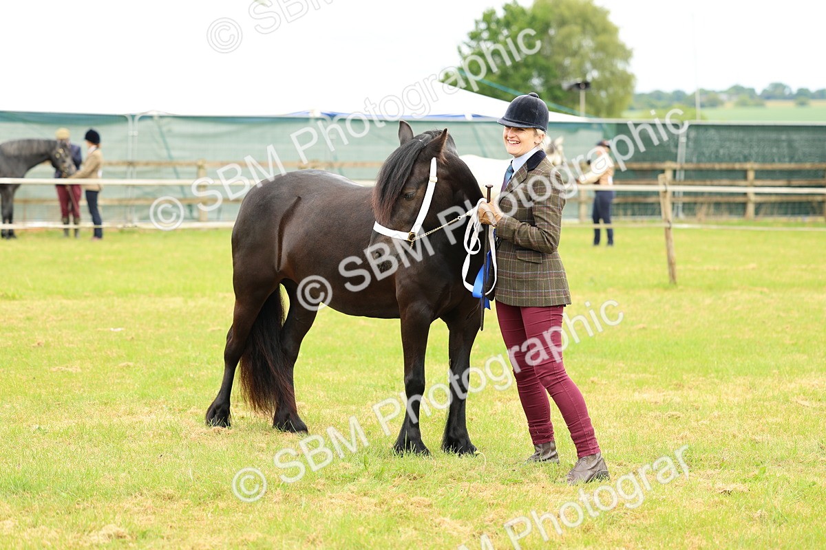 SBM_00616 - Class 58-67 - M&M Non Welsh Pony In hand