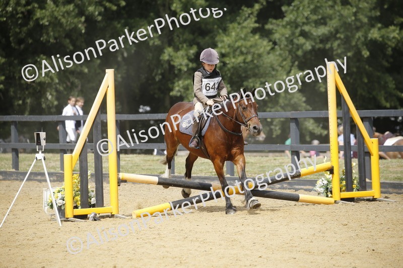 20250622-4079 - 50cm