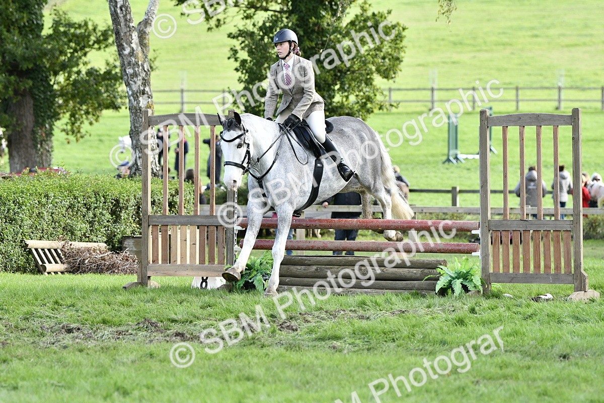 SBM_52200 - S35 - Working Hunter & Working Show Horse