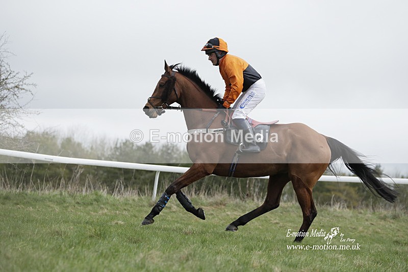 PtP 260323 0671 - New Forest Hounds Point-to-Point Larkhill 26/03/23
