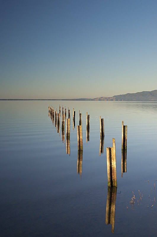 Lake Wairarapa jetty remains - New Zealand North Island