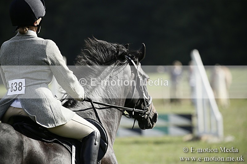 BVR090918 350 - BVRC Dressage and Show Jumping 09/09/18