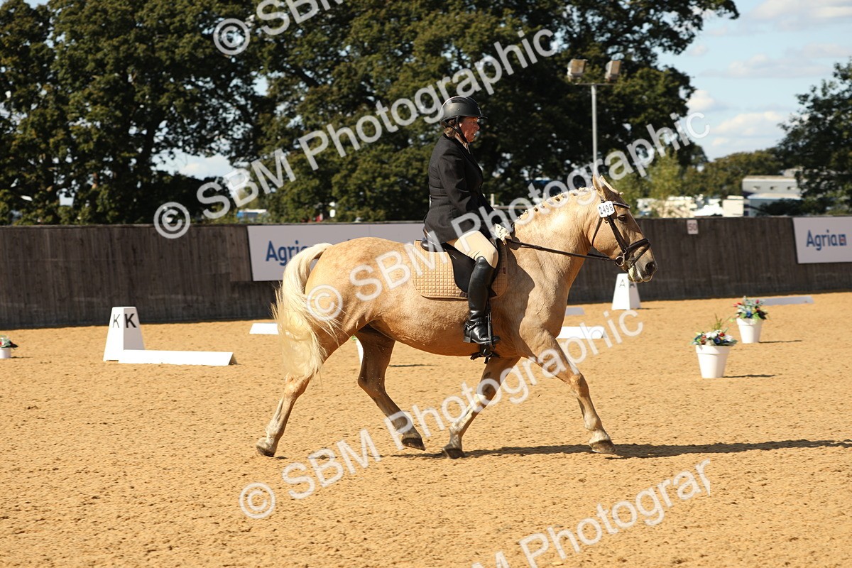 SBM_24577 - D17 - Grand Tour Championship - Novice 27