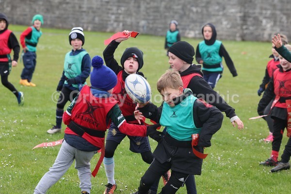 DAD22366 - Rookies/Mini Rugby on 7s Day