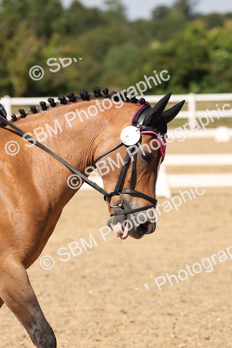 SBM_006294 - Prelim 4 - 15.56-17.51