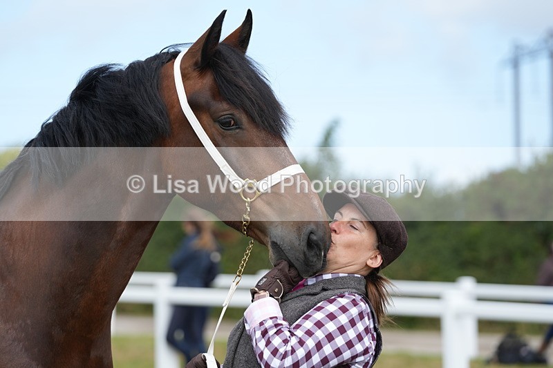 DSC05860 - Class 51: NPS M&M 4 years and over Large Breeds