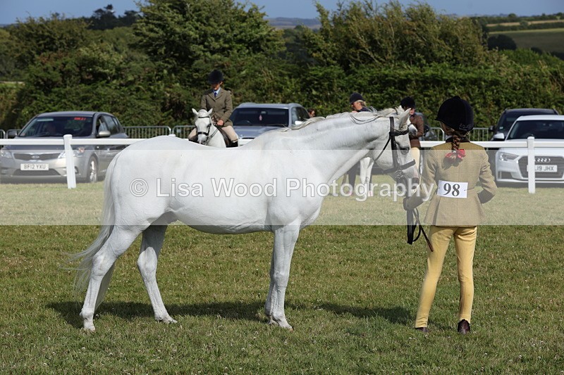1X9A5805 - Class 40: NPS Welsh A & B