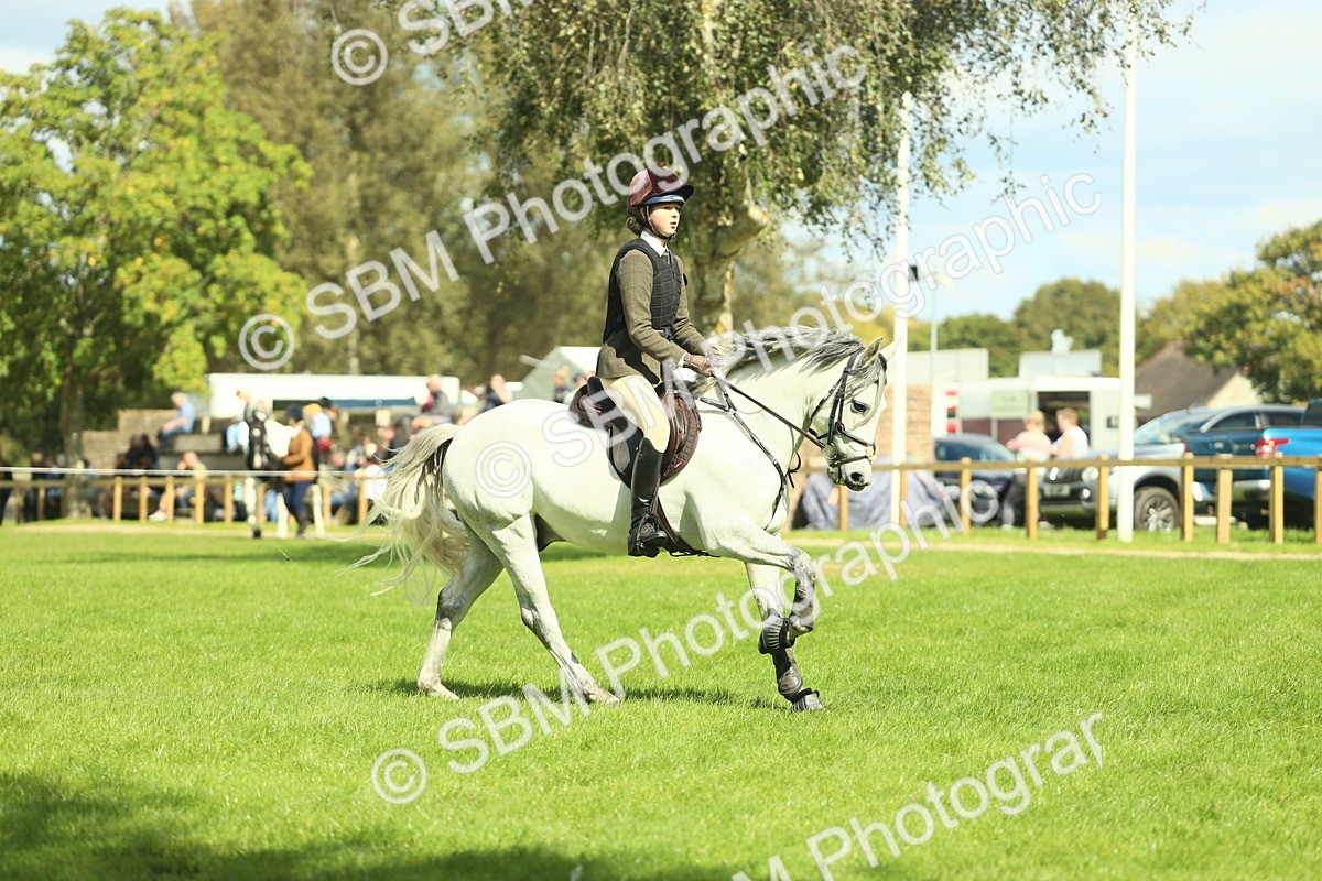 SBM_42944 - S30 - M&M Working hunter Pony