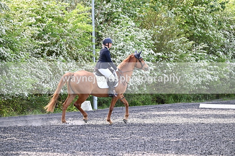 WJ7_7894 - Time 10:11 to 10:27