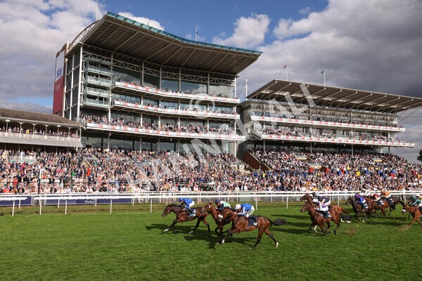 yr19082022r6-28 - Race 6 4.45 pm British Stallion Studs EBF Convivial Maiden Stakes