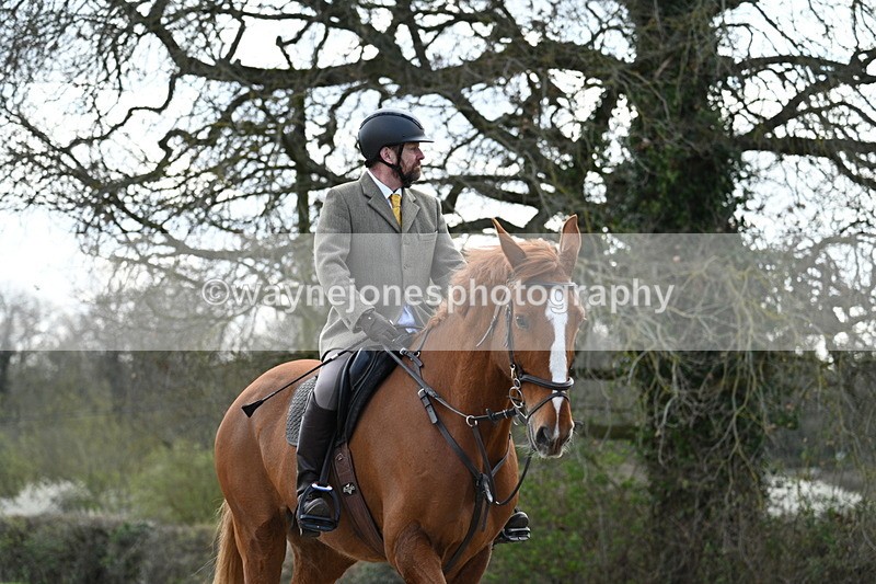 WJ7_9901 - Walk Home