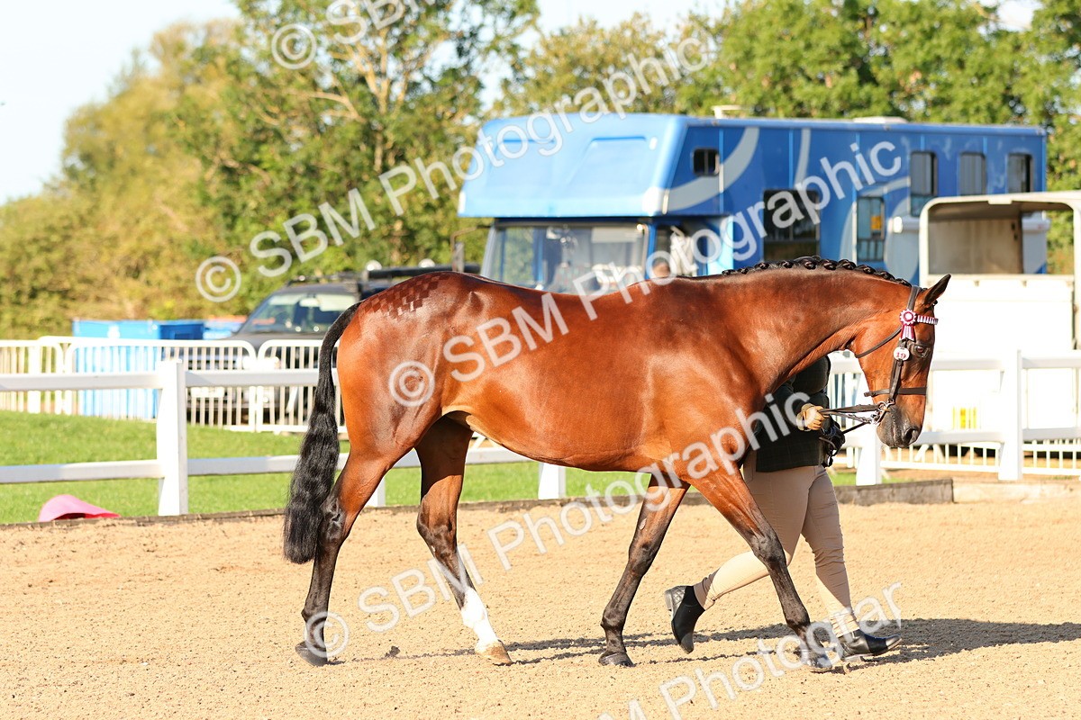 SBM_07997 - Class 201 - Best Turned Out - IH