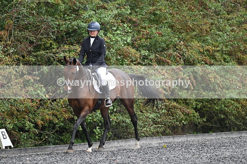 WJ7_3789 - Time 11:04 to 11:38