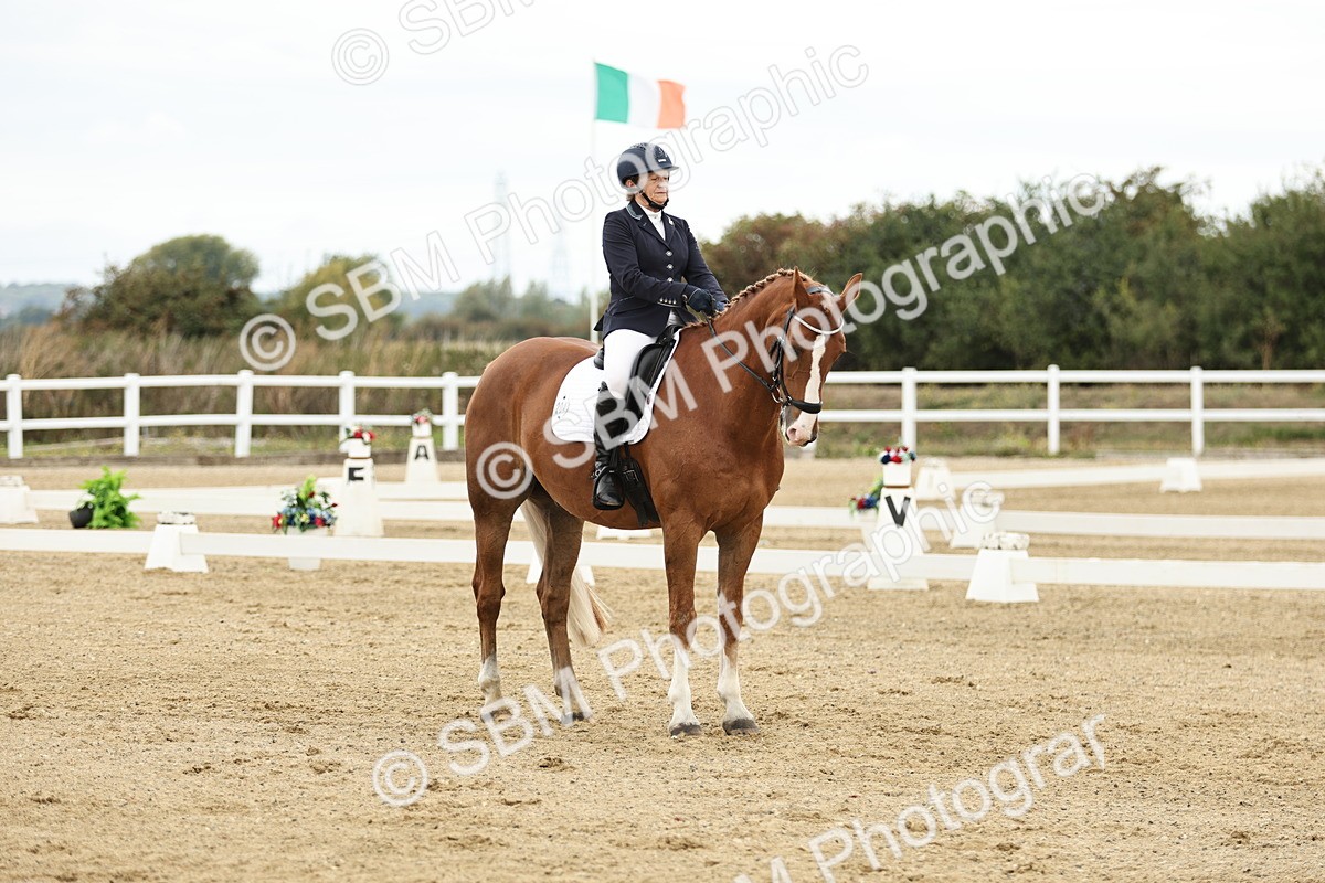 SBM_006619 - Class 21 - Medium 5 Bronze - 9.08-9.48