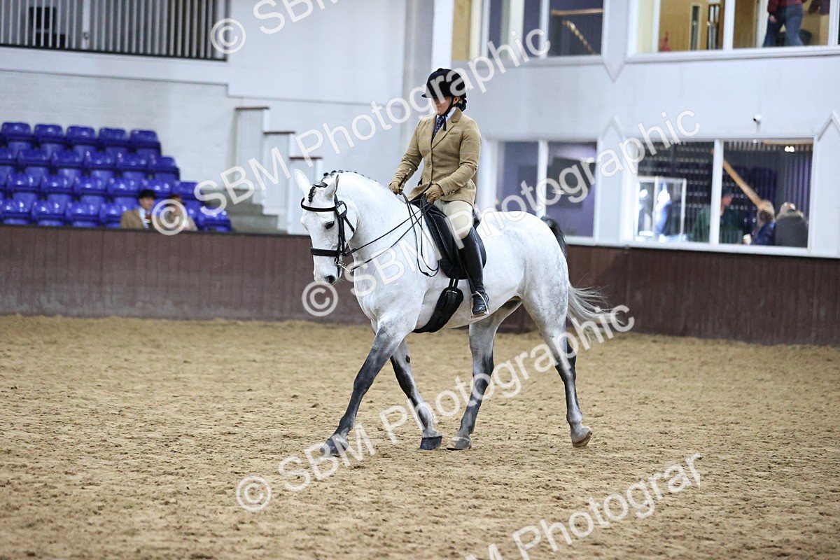 SBM_6355 - Class 45-42 - Ridden Irish Breeds-Ridden Cob
