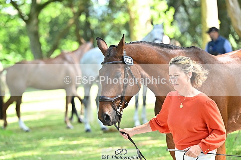 250521A-153538-00619 - B-369-Ali.Wilkes-ROCK.THE.CASPAR