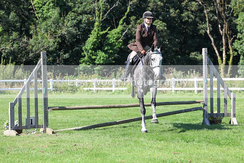 3E7A8274 - Class 4: Novice working Hunter