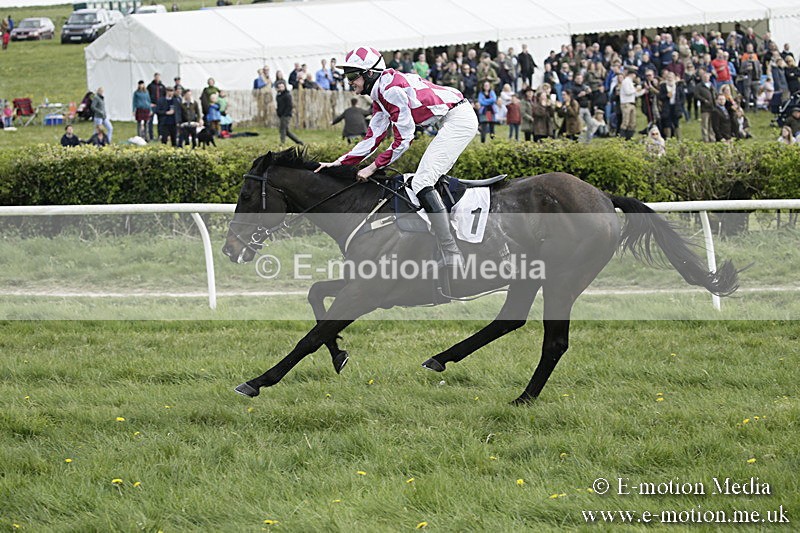 PtP 170417 374 - Old Berks Point-to-Point Lockinge 17/04/17