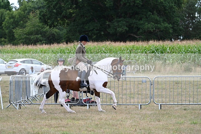 WJ7_5226 - Class 12 Ridden Cob
