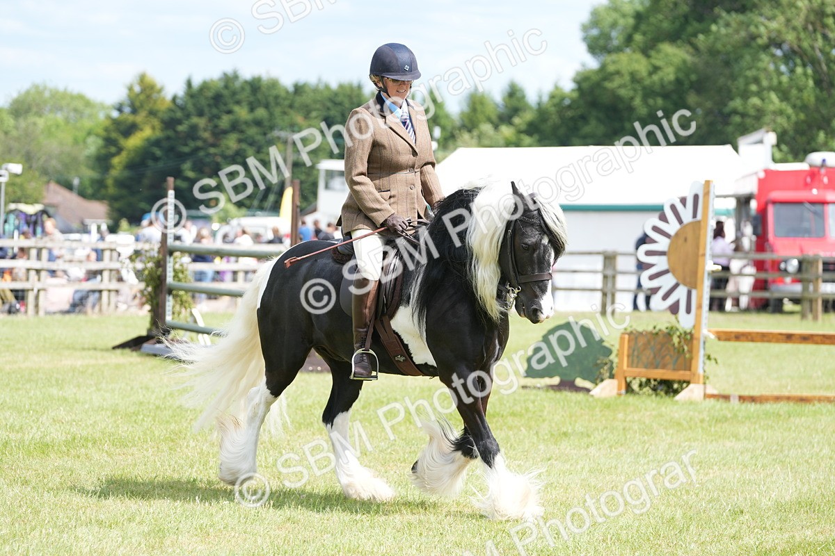 SBM_17273 - Class 107-108 - LIHS BSPS Performance Coloured Horse Pony