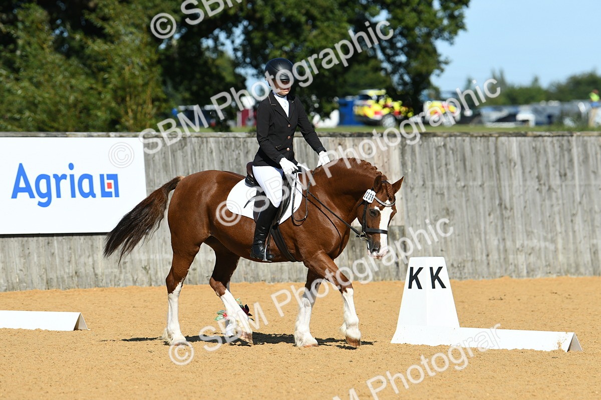 SBM_18034 - D4 - Small Tour Championship - Intro B