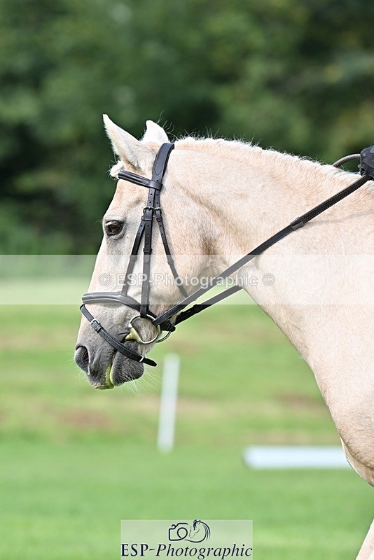 230826-103725-16604 - Sections A & B 10 to End