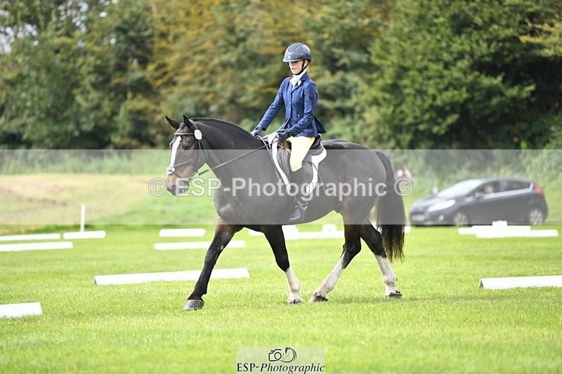 230826-112025-15829 - Sections C & D 10 to End