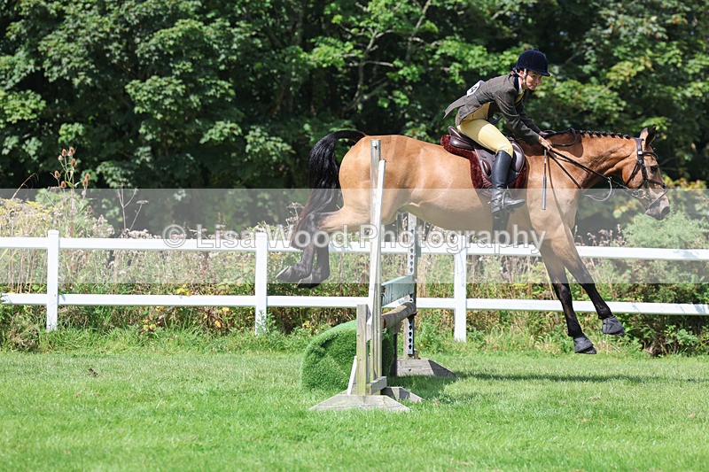 3E7A8889 - Class 6: Open Working Horse