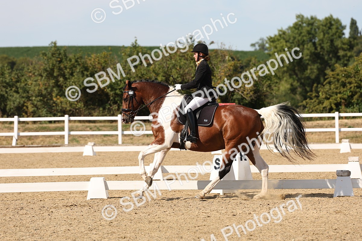 SBM_003871 - Elementary 4