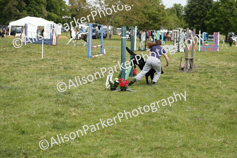 20250517-2931 - Class 25 - Horse & Hound