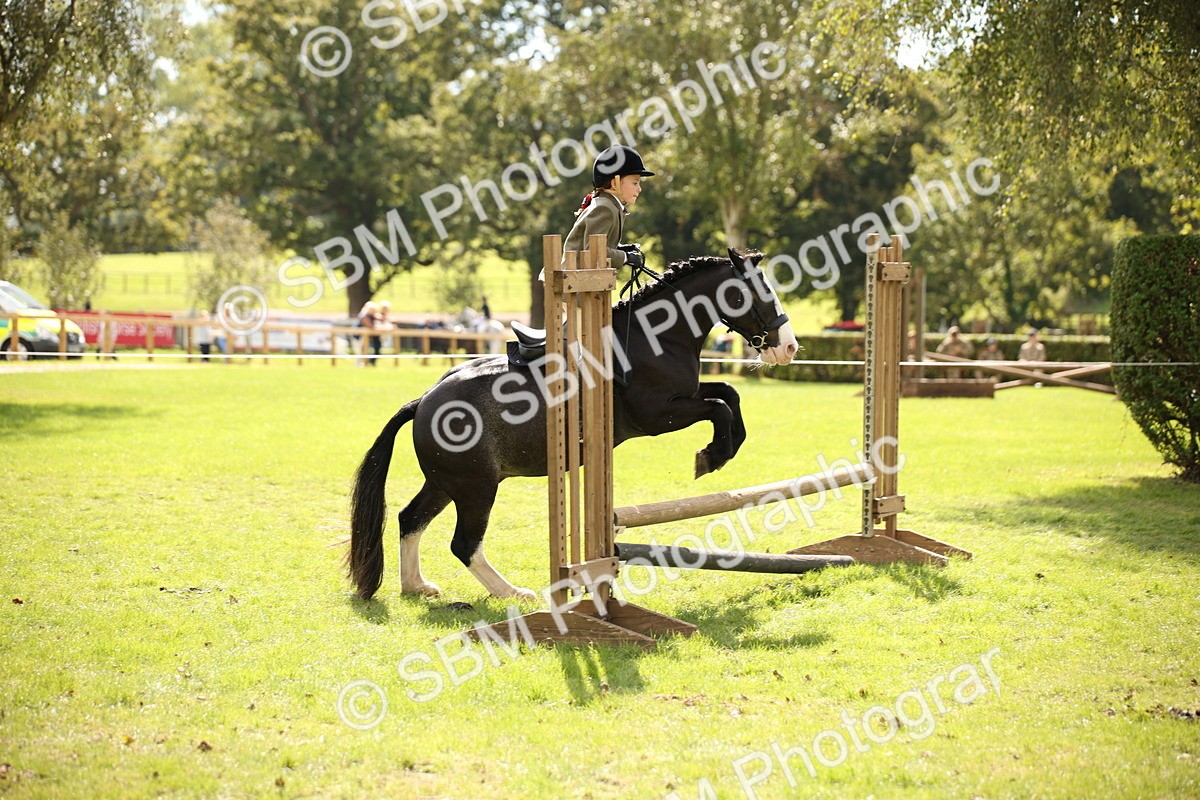 SBM_42280 - S13 - Pony Club Pony