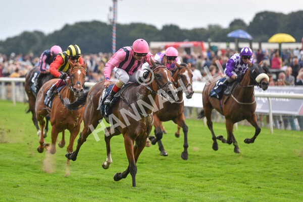 yr19082021r7-23 - Race 7 5.20pm British Stallion Studs EBF Fillies' Stakes