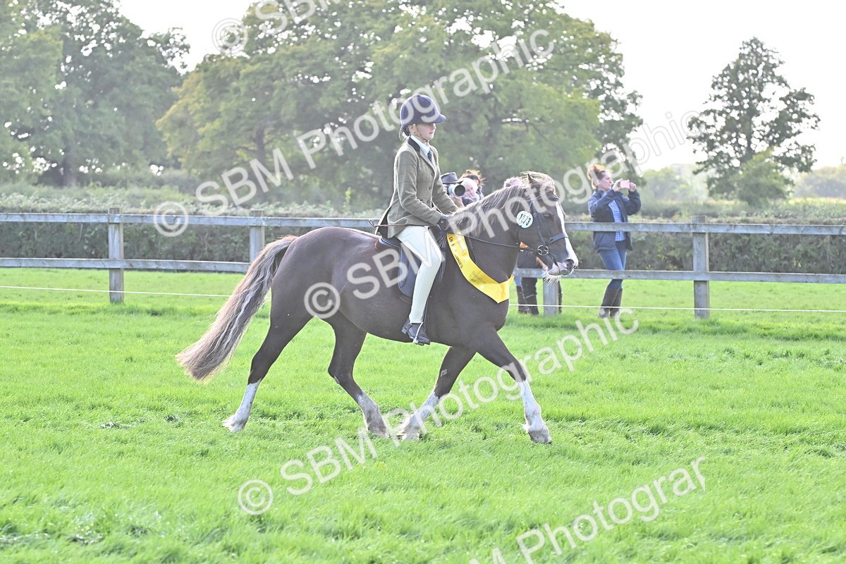 SBM_50380 - S21 - Novice & Newcomers First Ridden