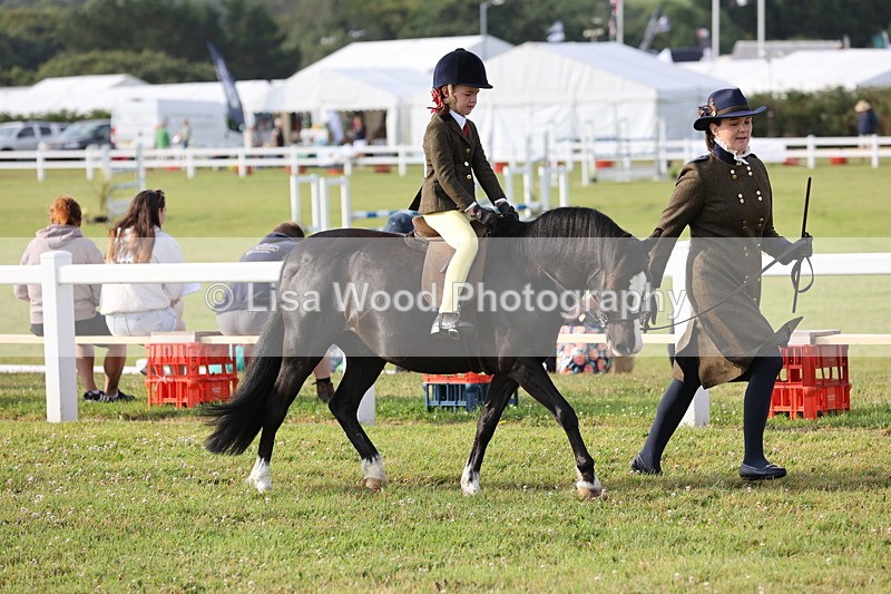 JPP_0186 - Class 14: Cornish Combination Leading Rein